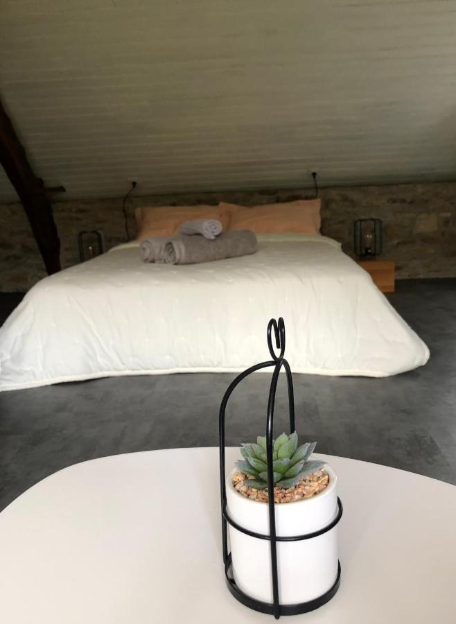 Le Domaine De La Claire Fontaine Gites -Chambres D'Hotes Montvalent Buitenkant foto